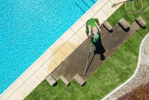 Landscaper Installing Brand New Grass Turfs around Pool
