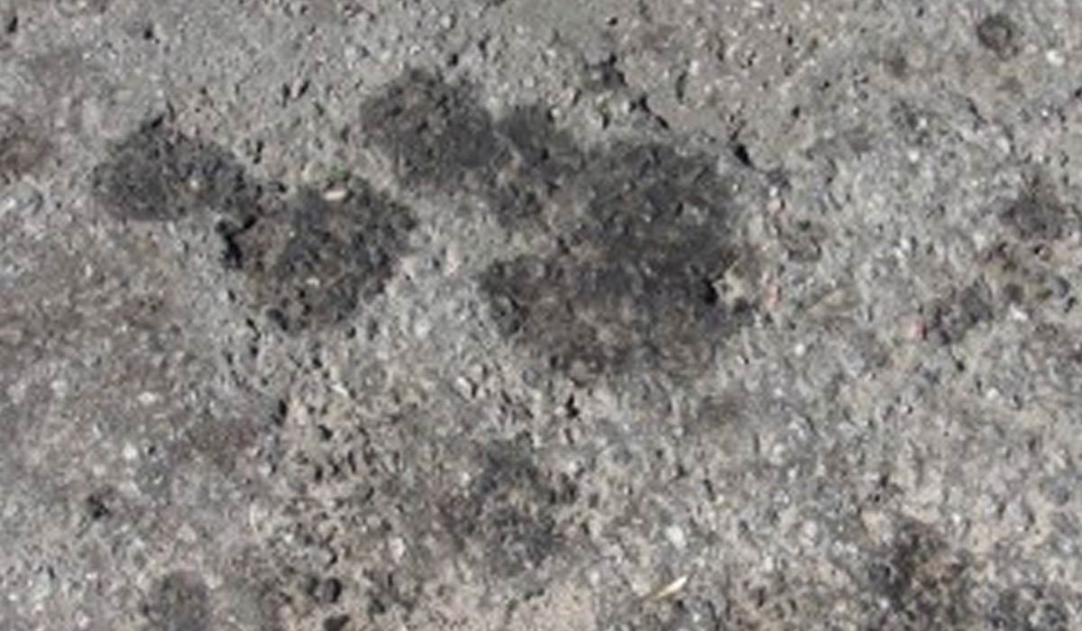 Asphalt Cleaning Benefits: Do It For Looks Do It For A Longer Lifespan