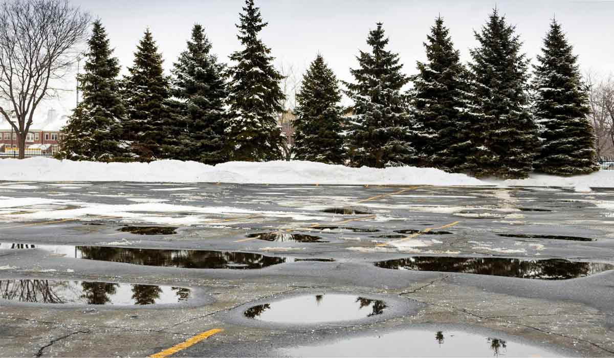 The Impact of Weather on Asphalt (+ How to Protect Your Pavement)